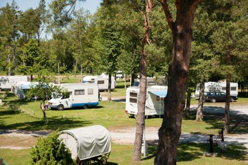 Tehumardi Camping - image 7