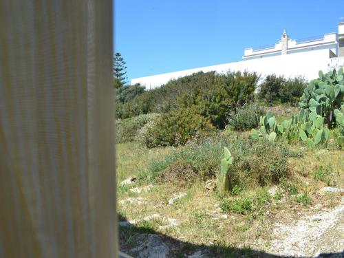 Incanto delle Ninfe - image 7