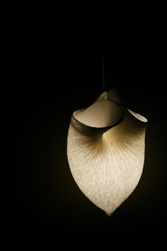Les 4 étoiles - image 4