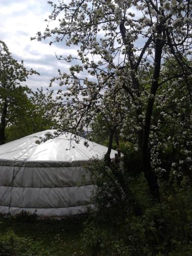  Zengőszív Jurtafalu in Hosszúhétény
