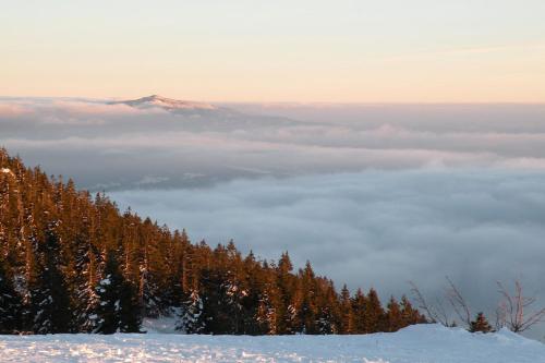 Ferienwohnung Volkl in 伯布拉