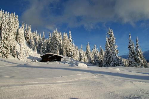 Gasthaus Furlhütte