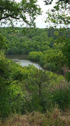 Nabij attractie, Vingt Grand Rue in Champagne-Mouton