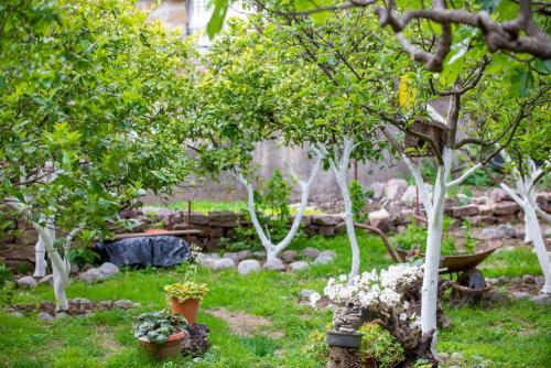 Apartments Teodo - image 8