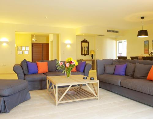 Luxury Villa Trapezia