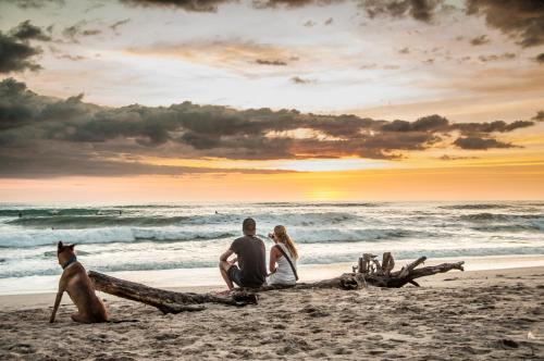 Cabinas Playa Surf Hostel