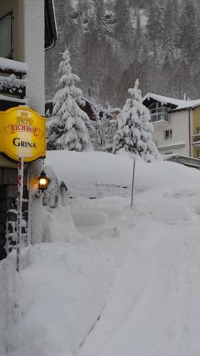 Hotel-Restaurant Grina