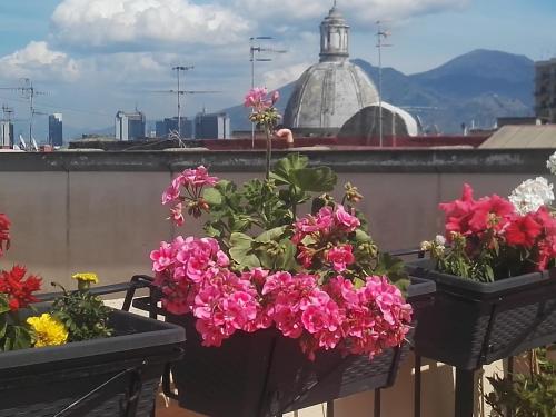 Spanish Palace Rooms Apartment & Terrace - image 5