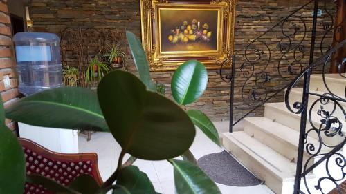 Előcsarnok, Hotel Livia in Tirana Városközpont