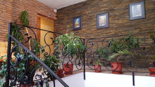 Előcsarnok, Hotel Livia in Tirana Városközpont