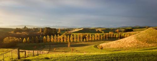 Tree House Lodge Bed & Breakfast Tree House Lodge Bed & Breakfast