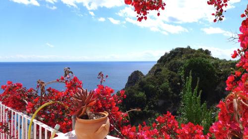 Hotel Torre Sant'Angelo - image 5