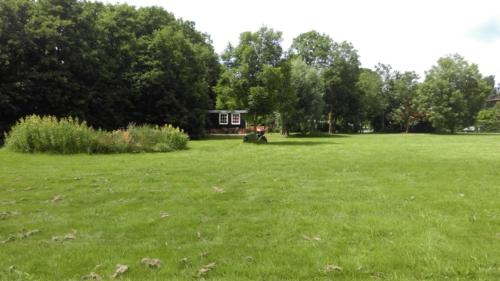 Pipowagen in het groen