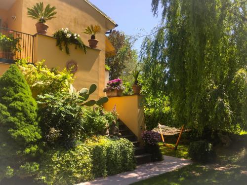 Le Pinette B&B