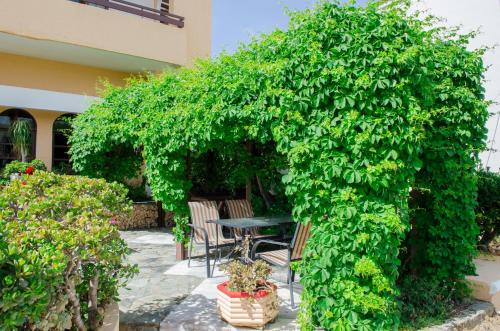 Alkion Hotel - image 4