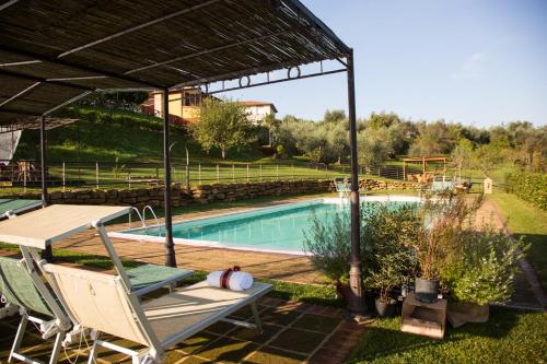 Il Frutteto - image 7