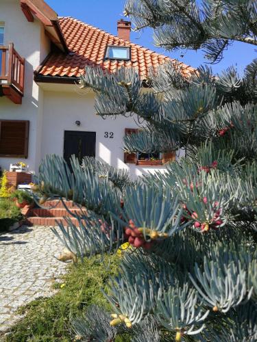 Apartament 32