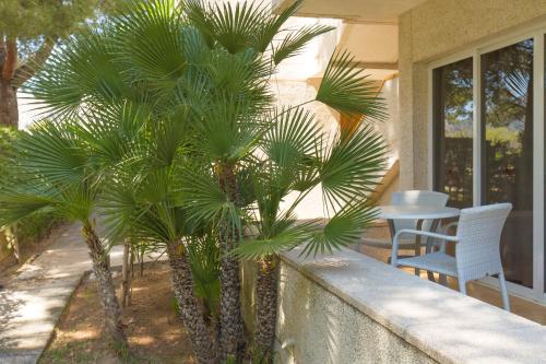 Apartamentos Massol