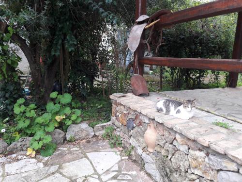  Traditional Apartments Chrani in Chrani