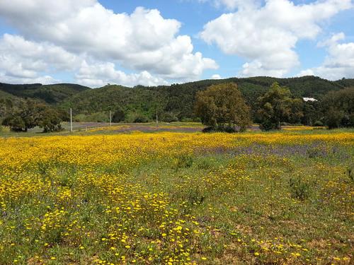 Herdade Quinta Natura Turismo Rural
