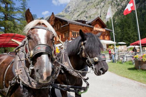 Gasthaus Spinas - image 3