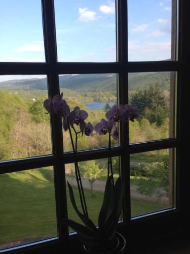 Highland Bear Lodge & Luxury Bear Huts - image 12