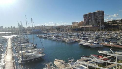 Camping Costa Blanca - image 9