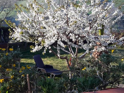 B&B L'Albero Di Antonia - 정원