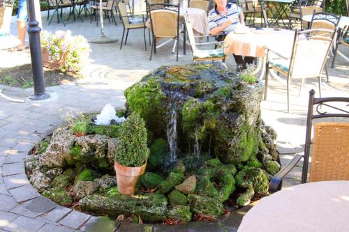 Dārzs, Hotel Landgasthof Grüner Baum (Hotel Landgasthof Gruner Baum) in Hochdorf (Baden-Wurttemberg)