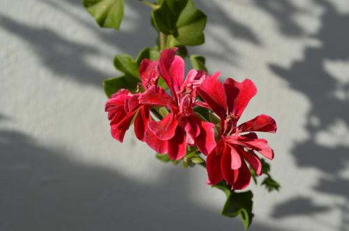 Apartamentos Las Juanas Apartamentos Las Juanas