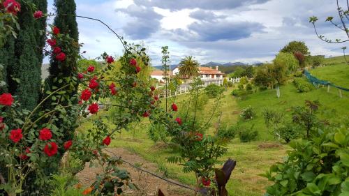  La Praderia De Vidular, Pension in Secadura