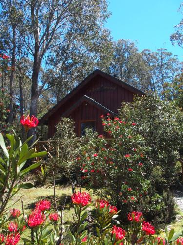 Tallow-wood Spa Cabin