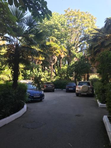 Apartment in City Center
