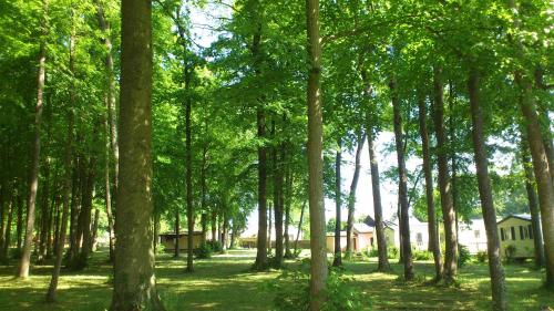 Dārzs, Gite Le Bois Fleuri in Iljēra-Kombrē