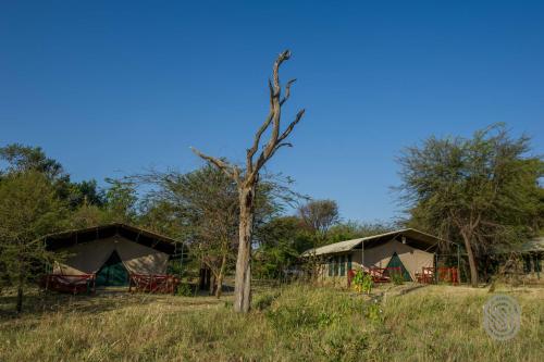 Vedere exterior, Mbuzi Mawe Serena Camp in Serengeti