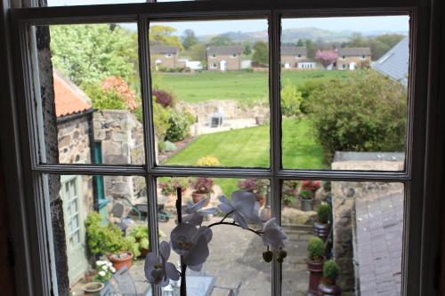 Market Cross Guest House - image 7