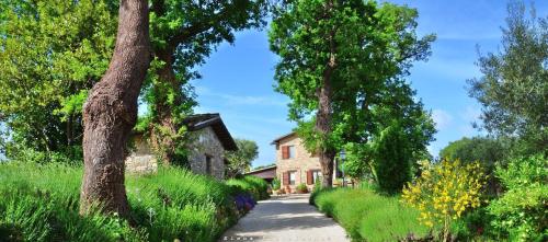  Casale il Cerqueto in San Severino Marche