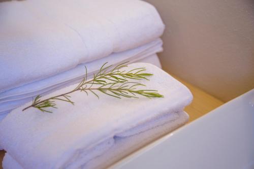 Habitación doble, terraza
