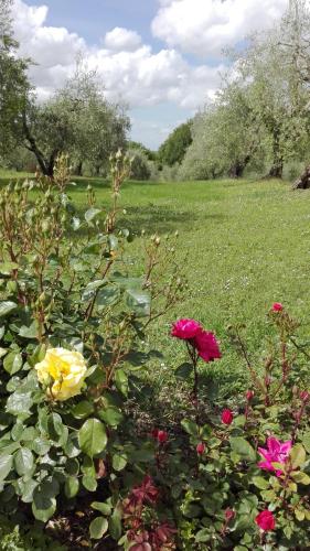 Agriturismo La Pieve