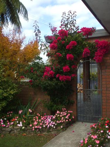 Accommodation in West Coast