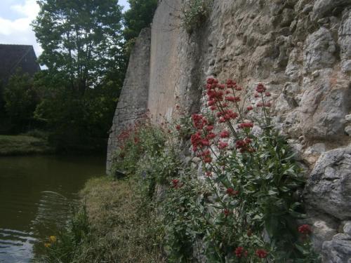 Chateau de Chémery