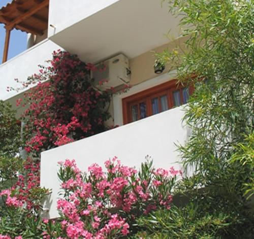Costantonia Holiday Apartments in Aegina