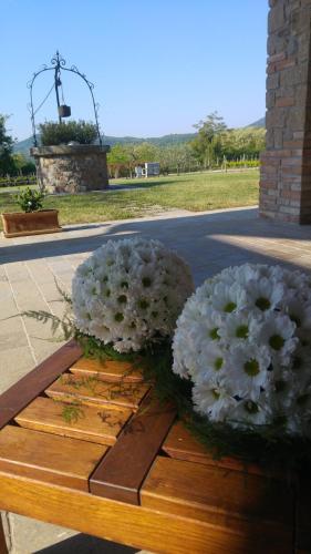  Alloggio Franciscus, Pension in Arquà Petrarca bei Ospedaletto Euganeo