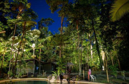 สภาพแวดล้อมโดยรอบ, Safari Lodge in เดนทรี