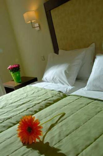Rainbow Apartments - image 11