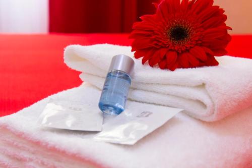 Luxury Rome Savini Guest House – Rome