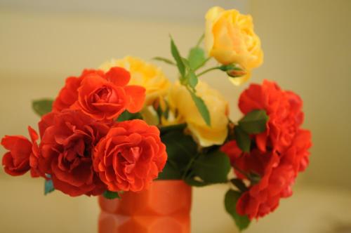 Hotel Diandra - image 8