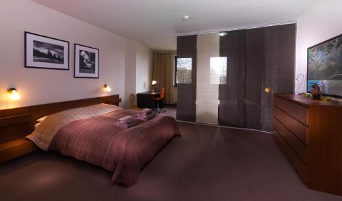 ヴィソケー・タトリ Apartman Chrust 4つ星 シングルルーム スイート