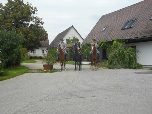 Вход, Wohlfühlbauernhof Siebernegg (Wohlfuhlbauernhof Siebernegg) in Großradl