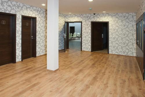 Ezüsthid Hotel - image 4
